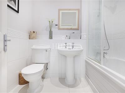 Picture 17
